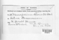 Image Associated With the Occurence